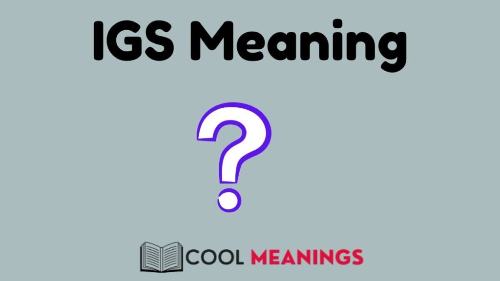 IGS Meaning