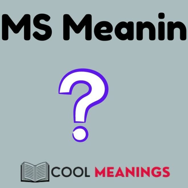 LMS Meaning